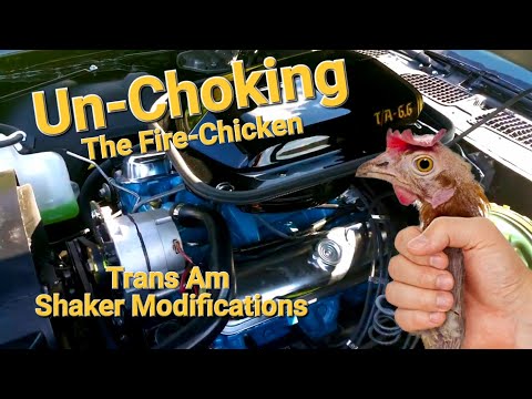 Trans Am Shaker Scoop Modification