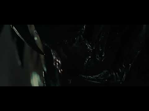 download lagu mp3 mp4 Predalien Hospital, download lagu Predalien Hospital gratis, unduh video klip Predalien Hospital