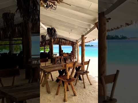 Videos del Thari Fushi Luxury Maldives 4★ en Thinadhoo, MaldivasVer MásVerPrecios6CerrarConsulta por Whatsapp 🇦🇷BookingTripadvisorSkyscannerKayakDestiniaTrivago