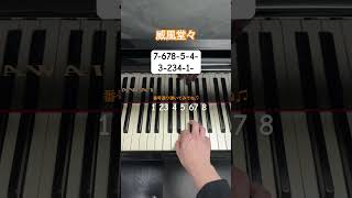 Download lagu 簡単に弾けるクラシック【威風堂々/エルガー】(片手ピアノ) #ピアノ #piano #pianotutorial #弾いてみた #クラシック #卒業式 #オーケストラ #shorts mp3 Download lagu 簡単に弾けるクラシック【威風堂々/エルガー】(片手ピアノ) #ピアノ #piano #pianotutorial #弾いてみた #クラシック #卒業式 #オーケストラ #shorts mp3
