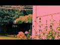 If - Từ Vi 徐薇 - Cover 丁可 [Vietsub & Lyrics]