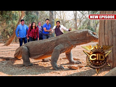 Dragon Lizard से हुआ CID Team का सामना | CID | सी आई डी | New Episode 2025