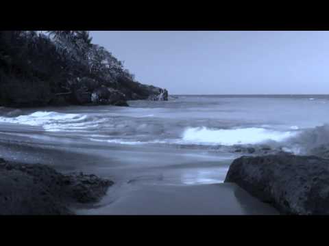 Barco Negro video