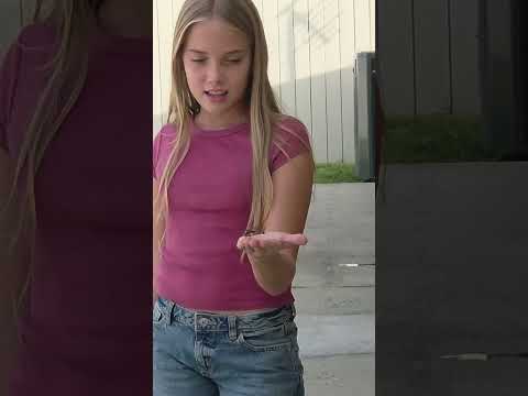 A dragon fly landed in her hand