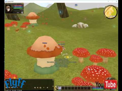 insanity flyff game play