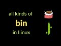 Bin Vs Sbin Must Know Linux Directories