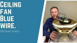 Ceiling Fan Wire Colors | Why does My ceiling Fan Have A Blu