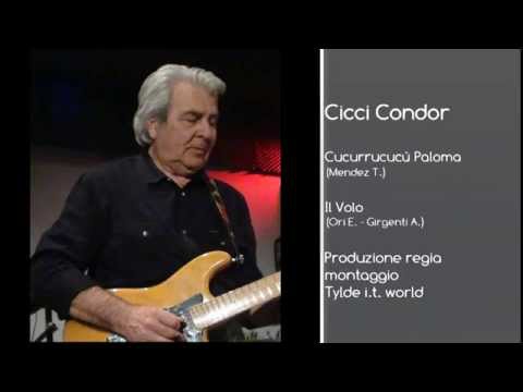 Cicci Guitar Condor - Cucurrucucù Paloma / il Volo (Official Video)