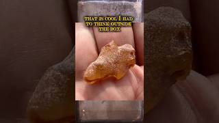 Amber hunting in Lithuania #Shorts ￼