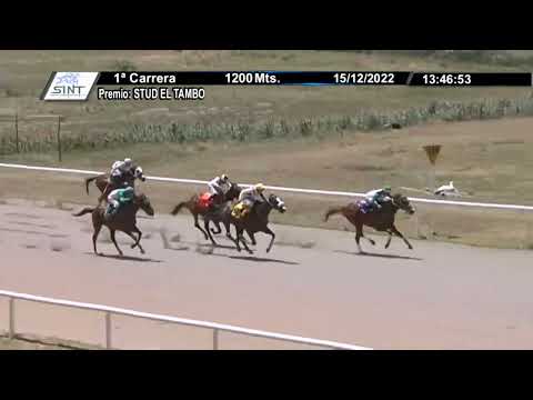 CARRERAS SINT COLONIA  221215 c01 - 1° EL SULTAN