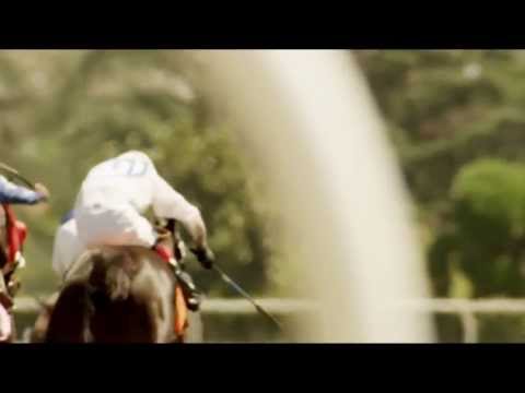 Racing Action Heats Up