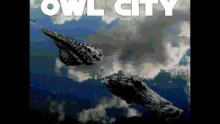 Owl City - Alligator Sky (Long Lost Sun Vs ChRoN!C Remix)