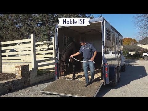 SOLD! A Day in the Life of Noble ISF - November 2020