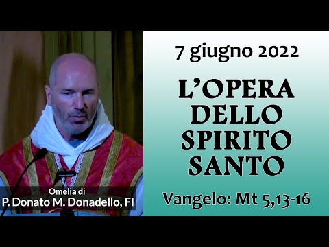 Omelia - L'OPERA DELLO SPIRITO SANTO - P. Donato Maria Donadello, FI