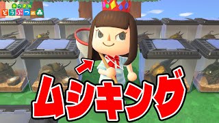 【あつ森】虫図鑑コンプしたし、虫取り大会で新記録作れるんじゃない？【あつまれどうぶつの森】