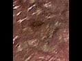 Mandela Effect What Is It Flip Flops And Recent Abduction Experience