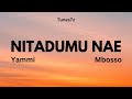Nitadumu Nae Yammi Ft Mbosso Official Lyrics By TunesTz