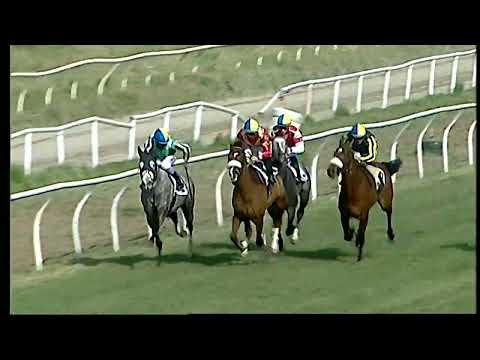 Napoli Galoppo 12/03/2022 - 2ª corsa