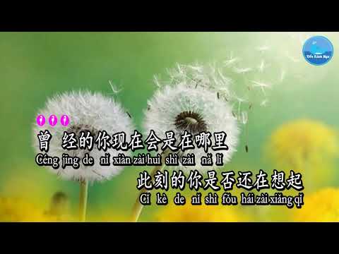 Cố Sức Ôm Người [抱的太用力] – Ngô Tinh [吴晴] (Karaoke - KTV)
