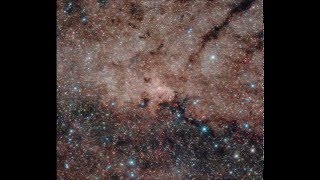 Leia (Sense Field Cover)