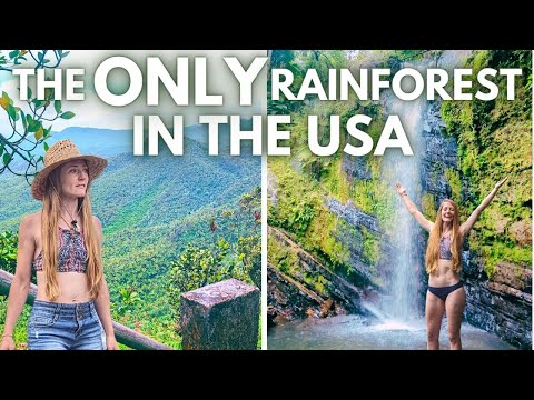 EL YUNQUE | Puerto Rico Travel Guide | Tour the Only Rainforest in the USA