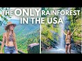 EL YUNQUE | Puerto Rico Travel Guide | Tour the Only Rainforest in the USA