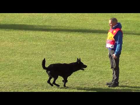 WUSV 2021  ITA 3 - DANZI GIAN PAOLO & GIBSON MYSTIC MEGANE B 78