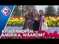 Mini-Keukenhof in Verenigde Staten, in de plaats Holland - OMROEP WEST