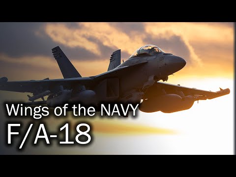 F/A-18 - Hornet for the carrier