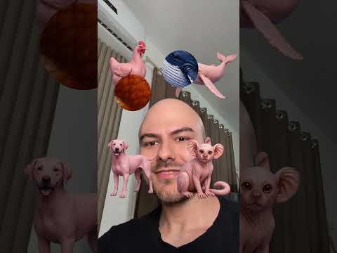 A BALEIA FOI ROUBADA ? KKKK