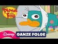 Doofania Ganze Folge Phineas Und Ferb