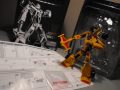 Trans Formers Universe Special Editions Overkill ...