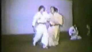 preview picture of video 'Hankido-Hapkido Nae Whe Gi Bub   2 круга .wmv'