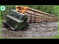 Biggest Logging Wood Truck Driving Skills Heavy Equipment Loading Climbing Working DEFAULT Thumbnail