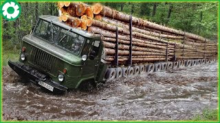 Biggest Logging Wood Truck Driving Skills Heavy Equipment Loading Climbing Working MQDEFAULT Thumbnail