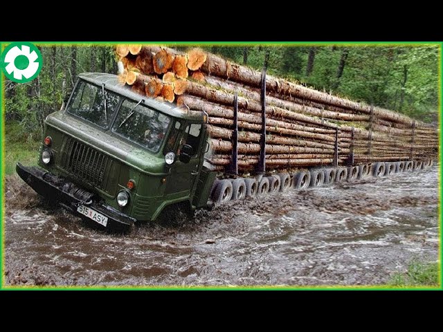 Biggest Logging Wood Truck Driving Skills Heavy Equipment Loading Climbing Working SDDEFAULT Thumbnail