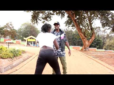 Hedex Pizzicato Party Day