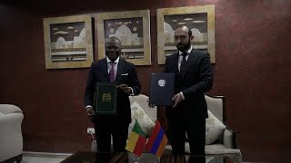 Встреча министров иностранных дел Армении и Бенина