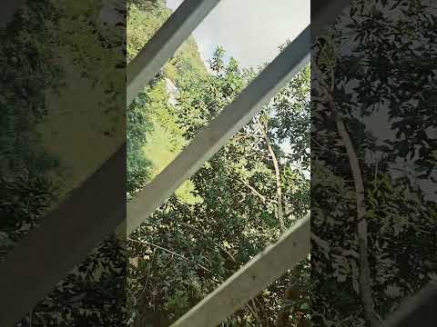 5 de diciembre de 2024