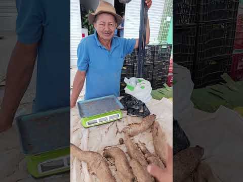 feira livre de João Alfredo