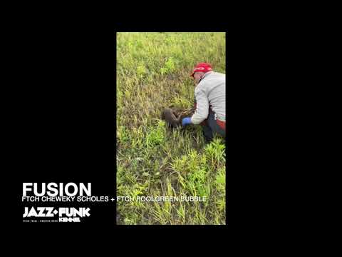 Jazz Funk FUSION 2020