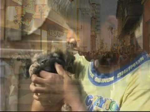 Joven De Mi País video