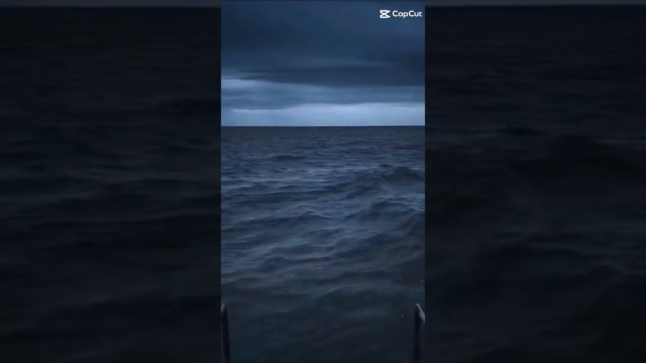 HAHAHA 🤣🤣 #shorts #quotes