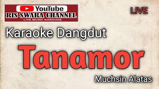 Download lagu TANAMOR KARAOKE - NADA PRIA mp3