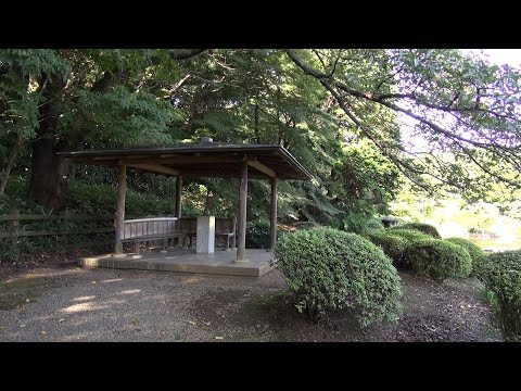 Shinjuku Gyoen National Garden Video