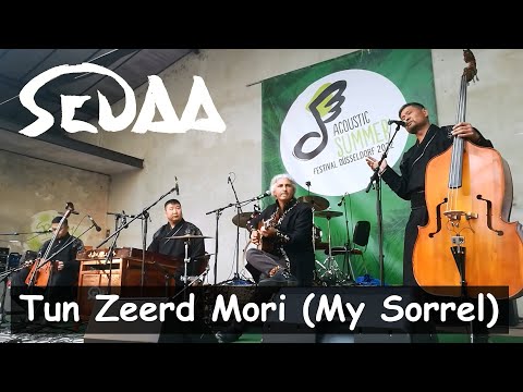 Sedaa - Tun Zeerd Mori (My Sorrel) live at the Acoustic Summer Festival in Düsseldorf (Germany) 2022