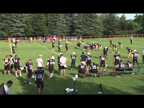 SAAF 2015: Pancevo Panthers  - Novi Sad Dukes 14:35 First Half