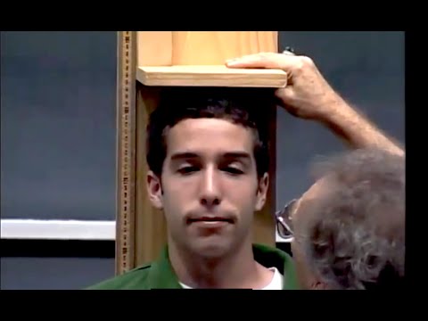 8 01x Lect 1 Powers of 10 Units Dimensions Uncertainties Scaling Arguments