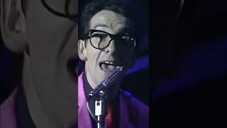 Elvis Costello &amp; The Attractions performing &quot;Accidents Will Happen&quot; at Top of The Pops in 1979.