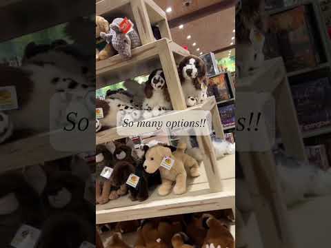 come get a douglas dog with me!! 🩷 #fyp #douglasdog #dogs